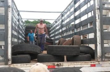 Foto - Agropecuária e Meio Ambiente