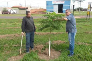 Foto - Agropecuária e Meio Ambiente