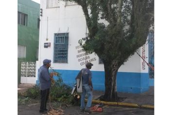 Foto - Agropecuária e Meio Ambiente