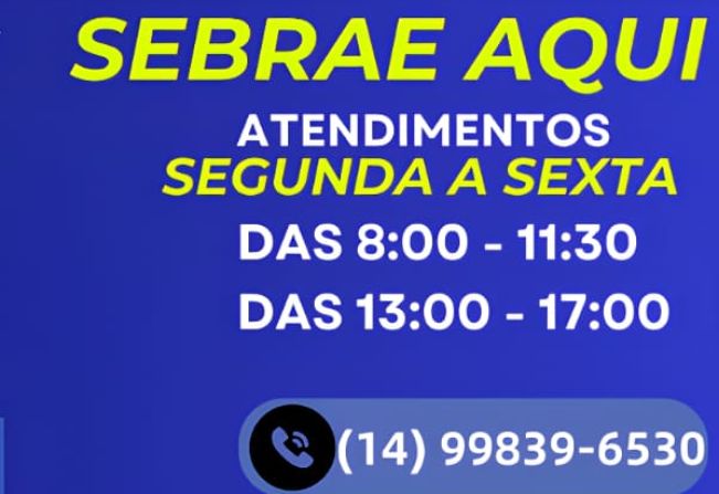 SEBRAE
